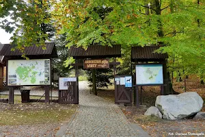 Nadleśnictwo Kaliska - Arboretum Wirty. Leśny Ogród Dendrologiczny image