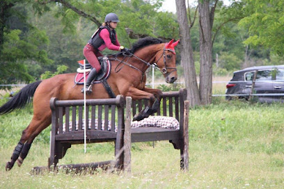 Elevage dogue allemand & cairn terrier & pension chevaux