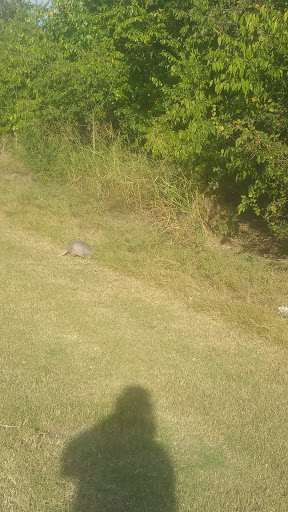 Park «Mike Lewis Park», reviews and photos, 2410 N Carrier Pkwy, Grand Prairie, TX 75050, USA