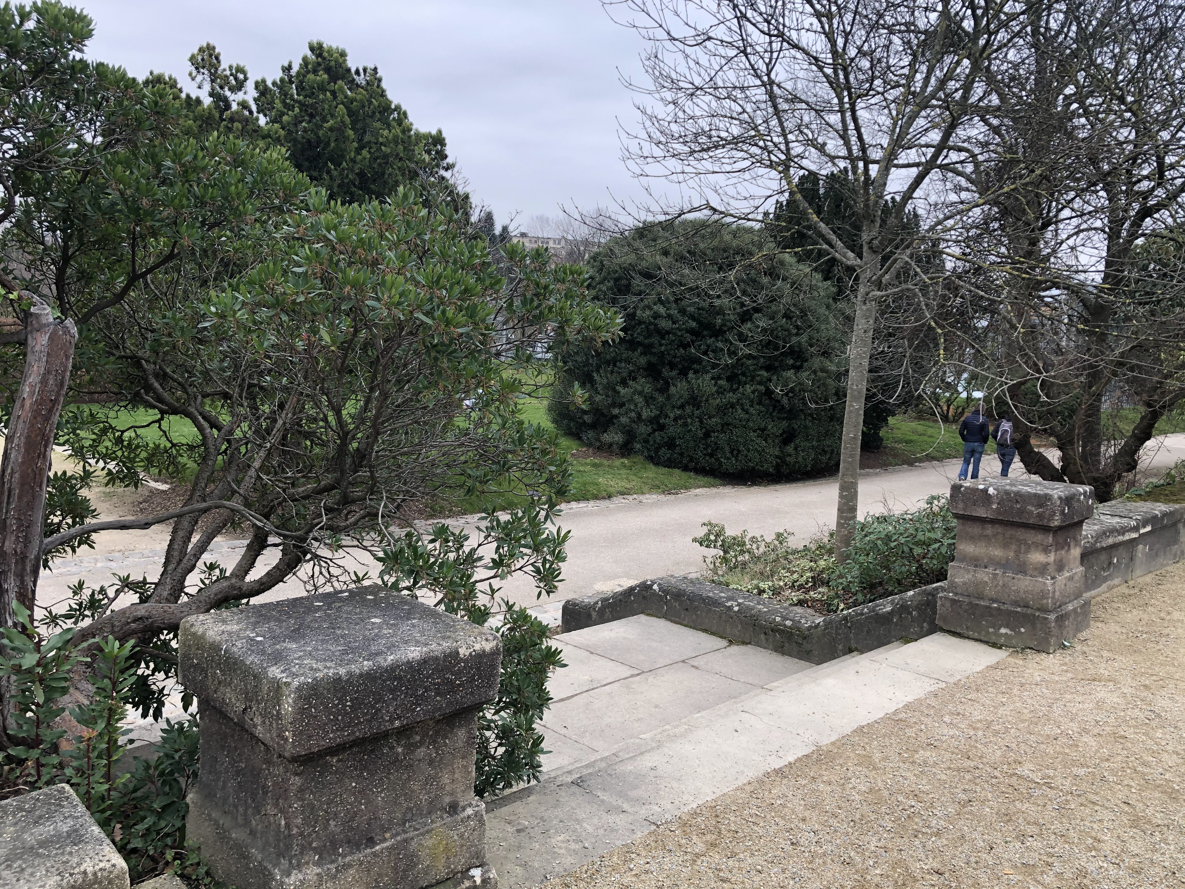Photo n° 34 de l'avis de Halim.o fait le 22/02/2021 à 13:44
