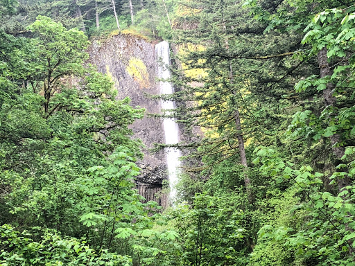 Waterfall «Latourell Falls», reviews and photos, Historic Columbia River Hwy, Corbett, OR 97019, USA