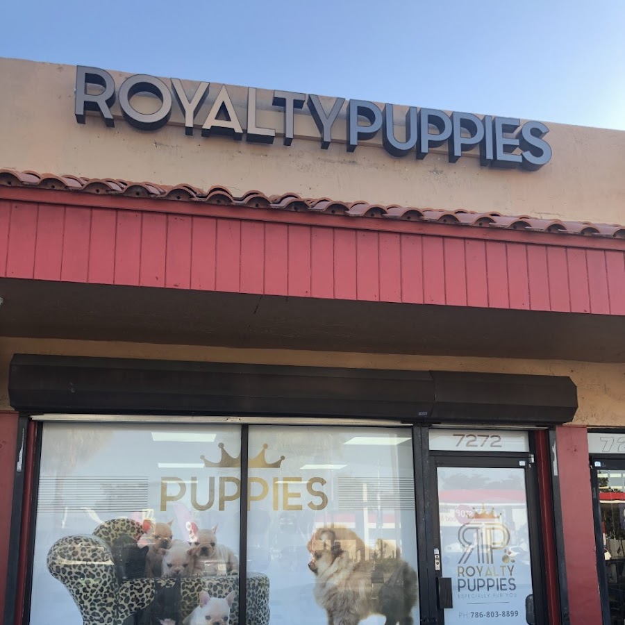 Royalty Puppies