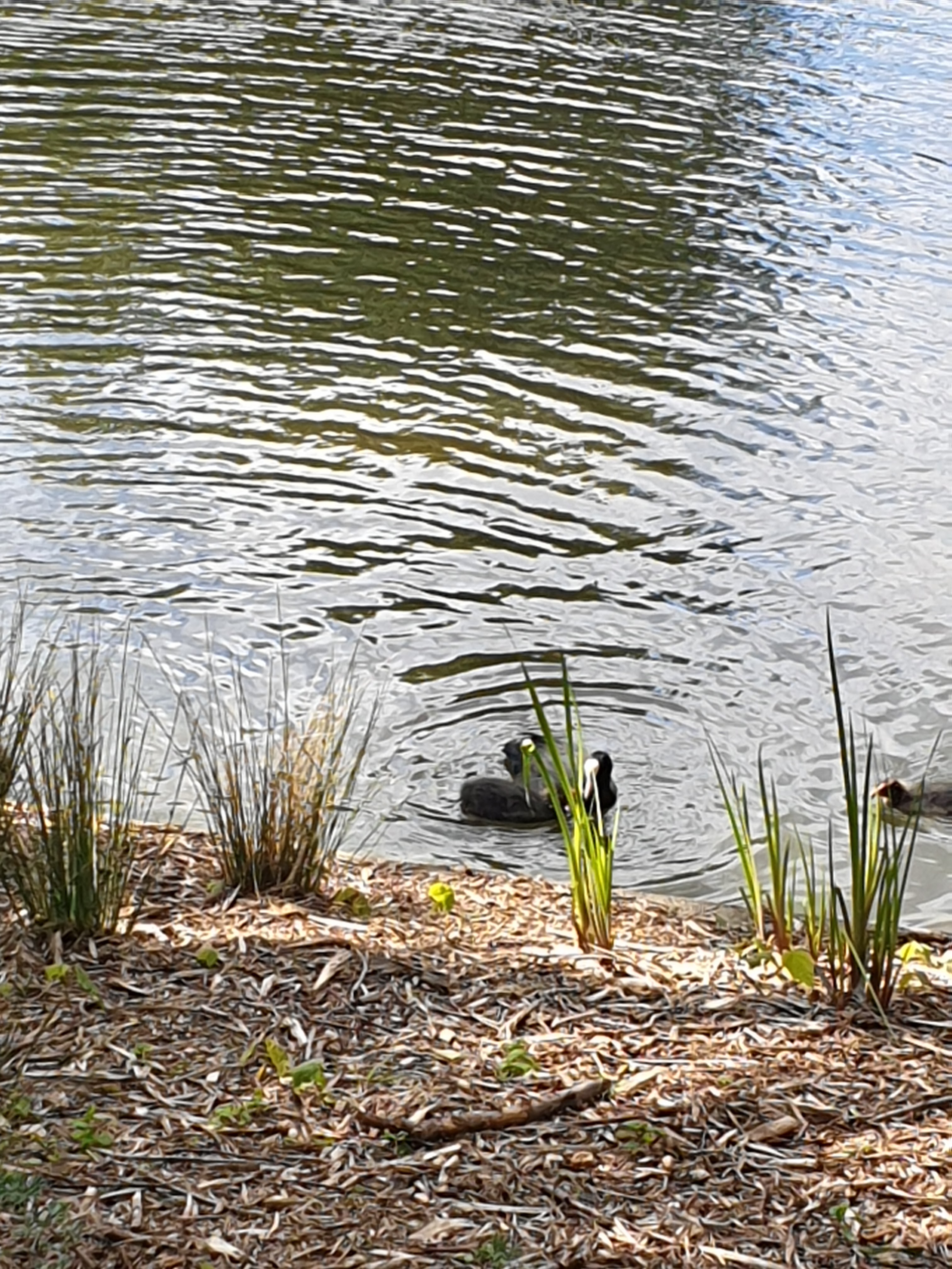 Photo n° 1 de l'avis de jean-pascal. fait le 12/05/2019 à 18:14