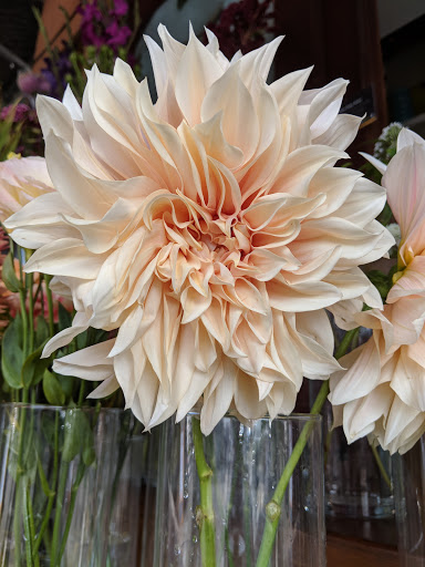 Florist «The Flower & The B», reviews and photos, 5655 College Ave, Oakland, CA 94618, USA