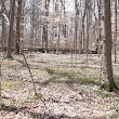 Stout Memorial Woodland