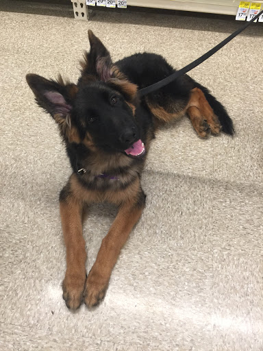 Pet Supply Store «PetSmart», reviews and photos, 128 Bailey Farm Rd, Monroe, NY 10950, USA