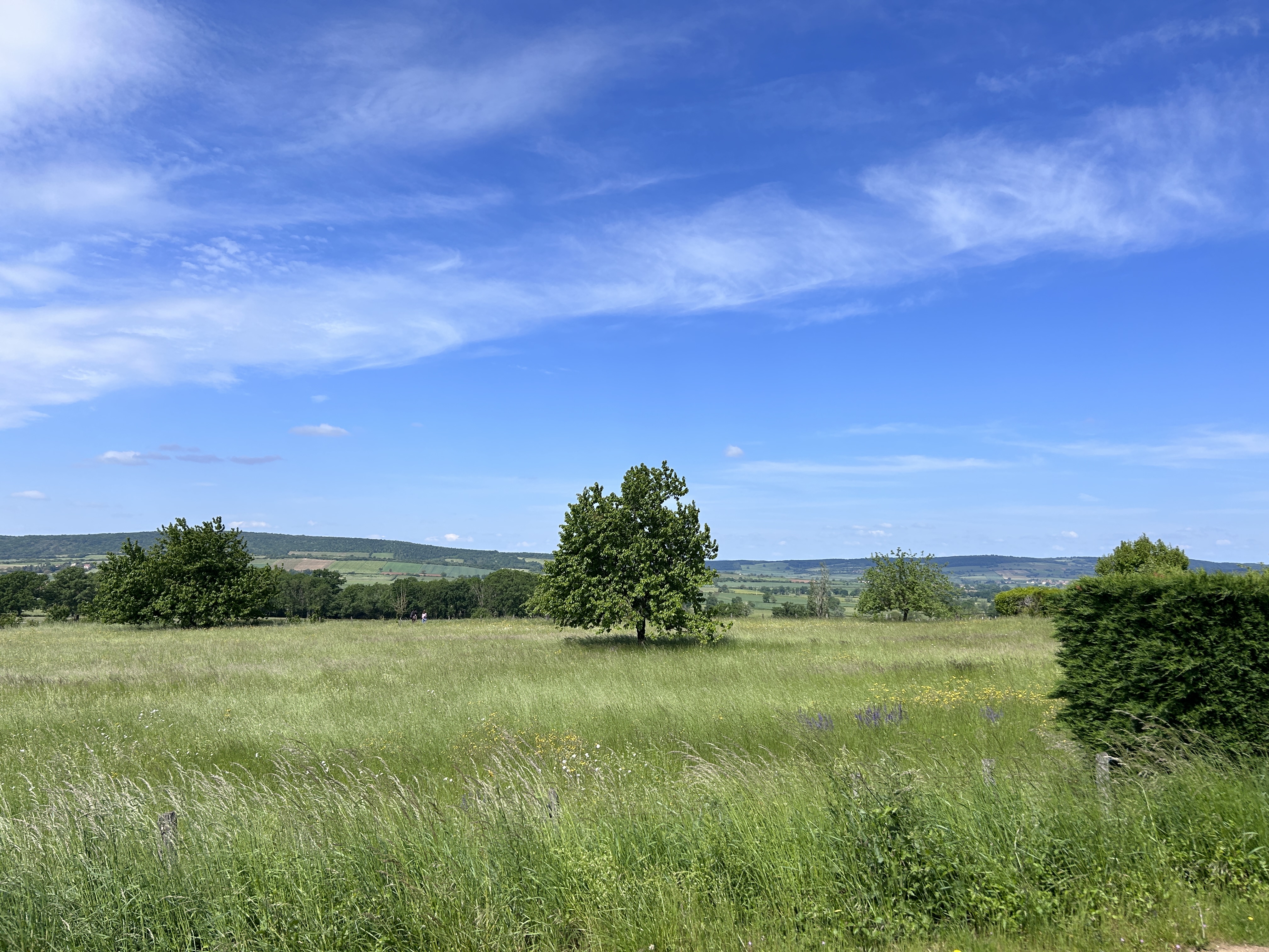 Photo n° 2 de l'avis de meddl. fait le 22/05/2023 à 08:36