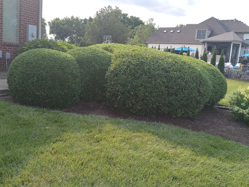 Golf Club «Golf Club of the Bluegrass», reviews and photos, 438 Barbaro Ln, Nicholasville, KY 40356, USA