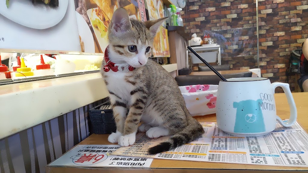 錿樂咖啡&三明治HALA coffee & sandwich內有貓咪會騷擾用餐，目前提供外帶服務，需提前通知，可加入line 的照片