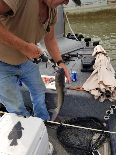 Pet Store «Big Heart Pet Brands», reviews and photos, 1200 Market St NE, Decatur, AL 35601, USA