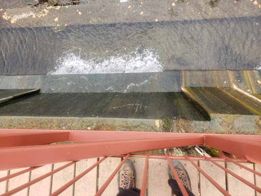 Park «Valley Water Mill Park», reviews and photos, 2450 E Valley Water Mill Rd, Springfield, MO 65803, USA