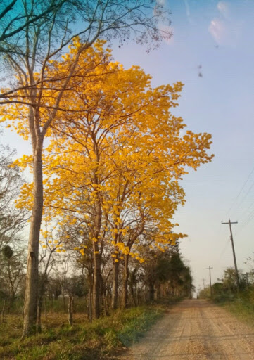 Chabad’s Children of Chernobyl