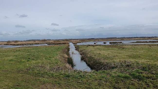 Reviews of Lunt Meadows Nature Reserve in Liverpool - Other