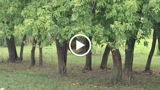 Golf Club «Big Stone Mini Golf», reviews and photos, 7110 County Rd 110 W, Minnetrista, MN 55364, USA