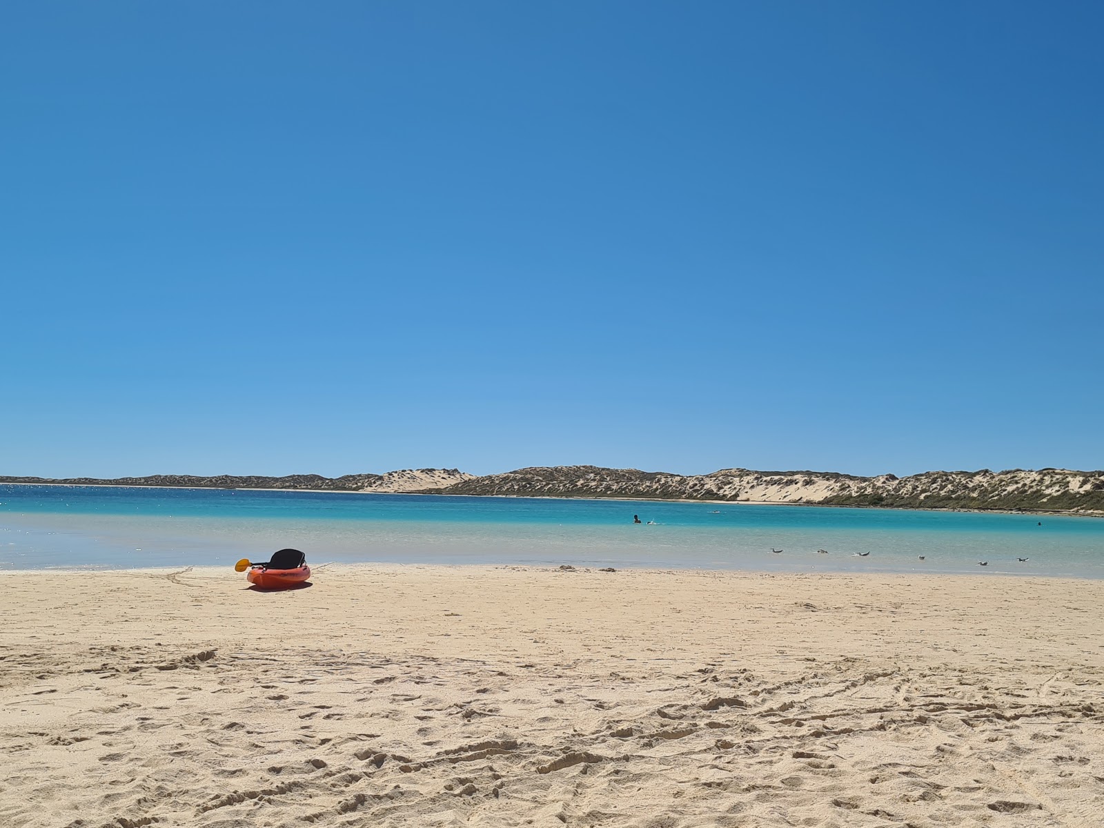 Coral Bay Beach'in fotoğrafı ve yerleşim
