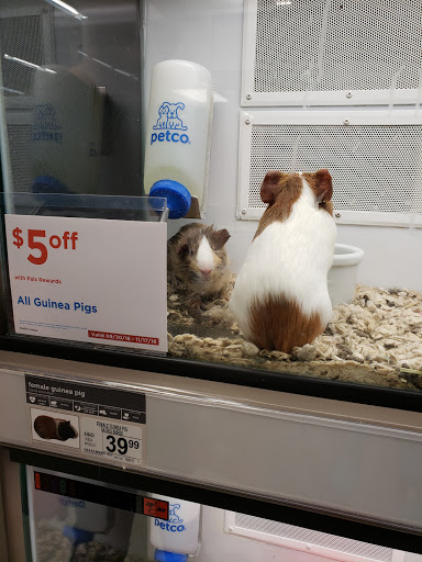 Pet Supply Store «Petco Animal Supplies», reviews and photos, 2131 Pleasant Hill Rd, Duluth, GA 30096, USA