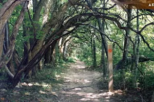 Sugarcreek MetroPark image