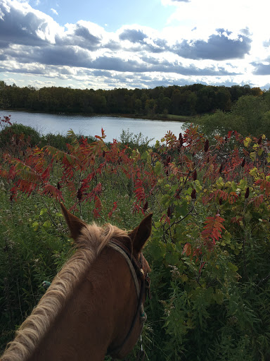 Park «Baker Park Reserve - Near-Wilderness Settlement», reviews and photos, 4001 County Rd 24, Maple Plain, MN 55359, USA