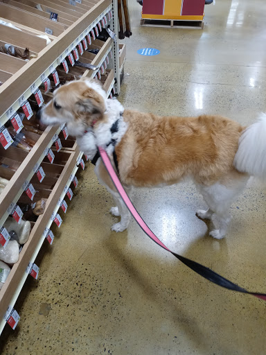 Shops to buy dogs in Atlanta