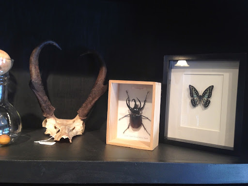 Gift Shop «Natural Selection», reviews and photos, 39 St Lawrence Ave, Reno, NV 89509, USA