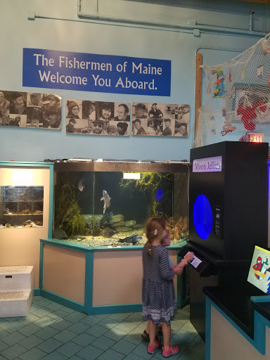 Aquarium «Maine State Aquarium», reviews and photos, 194 McKown Point Rd, West Boothbay Harbor, ME 04575, USA