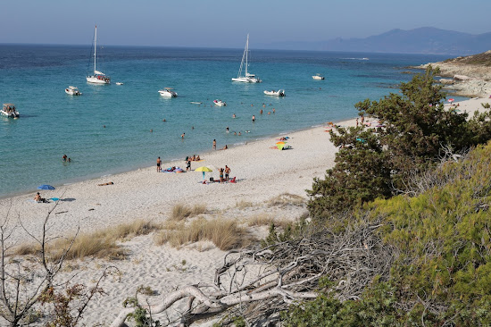 Saleccia Stranden