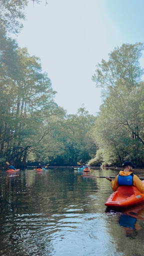 National Park «Congaree National Park», reviews and photos, 100 National Park Rd, Hopkins, SC 29061, USA