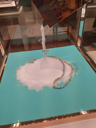 Jewelry Store «Tiffany & Co.», reviews and photos, 4200 Conroy Rd, Orlando, FL 32839, USA