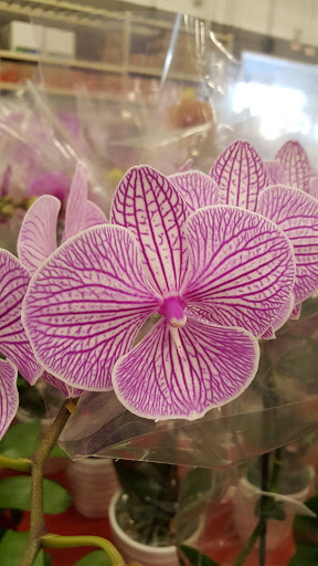 Home Improvement Store «The Home Depot», reviews and photos, 4700 17th Avenue SW, Fargo, ND 58103, USA