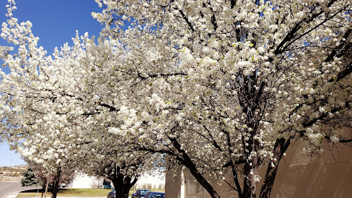 Community College «San Juan College», reviews and photos