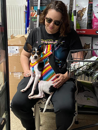 Pet Supply Store «Haute Dogs Boutique & Barkery», reviews and photos, 507 Georgia St, Vallejo, CA 94590, USA