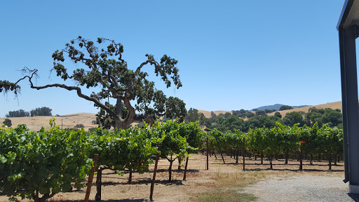 Vineyard «Kastania Vineyards», reviews and photos, 4415 Kastania Rd, Petaluma, CA 94952, USA