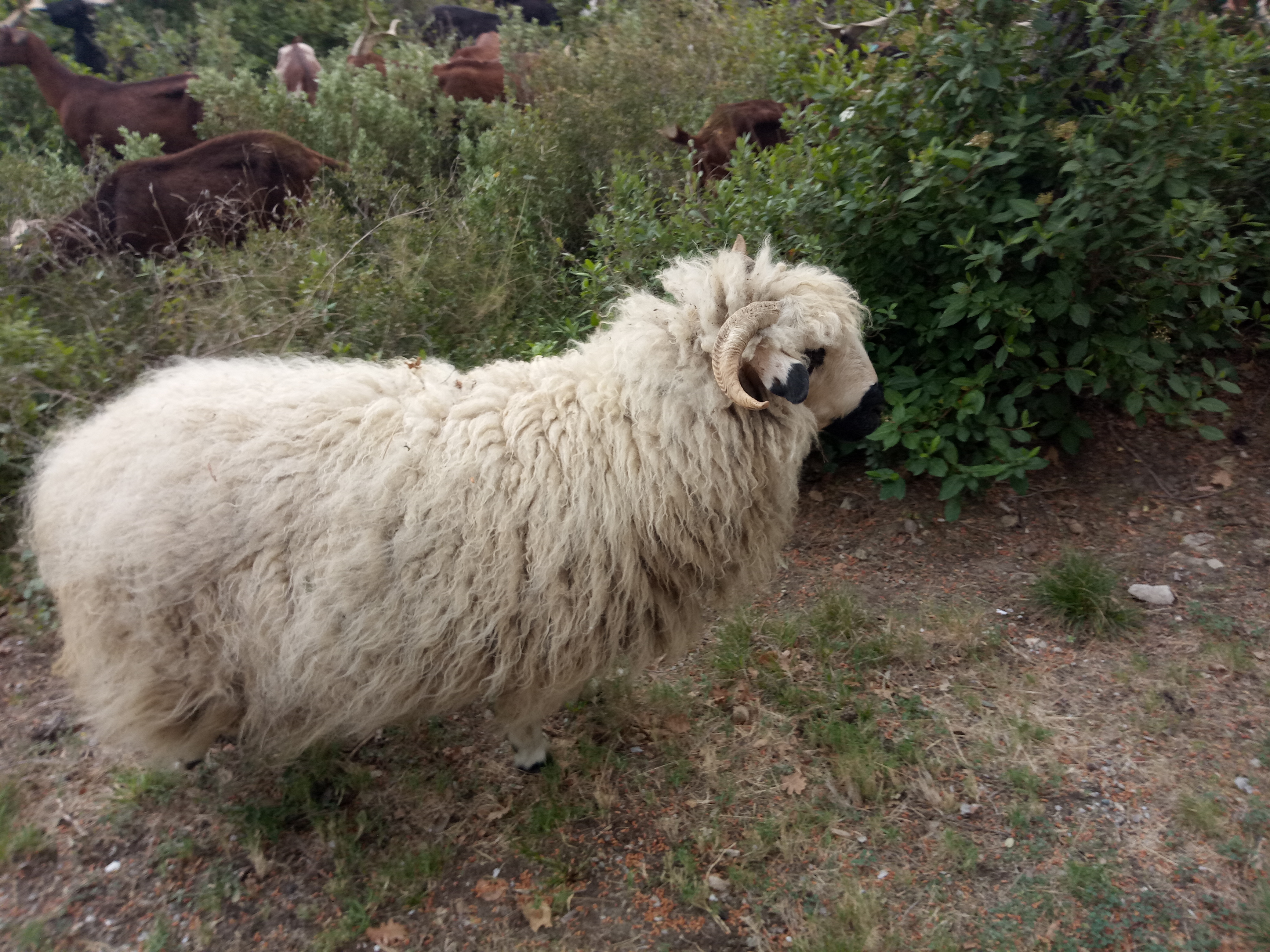 Photo n° 8 de l'avis de cedric.u fait le 19/04/2019 à 09:54