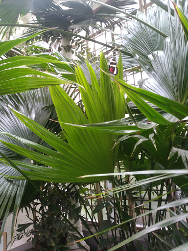 Zoo «Detroit Zoo», reviews and photos, 8450 W 10 Mile Rd, Royal Oak, MI 48067, USA