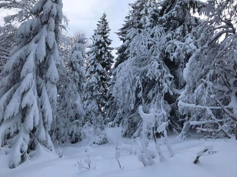 Photo n° 1 de l'avis de jean.a fait le 29/01/2019 à 17:39