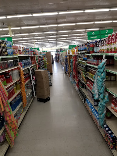Dollar Store «Dollar Tree», reviews and photos, 4920 Allen Rd, Zephyrhills, FL 33541, USA