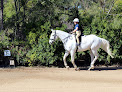 Best Horse Riding Courses Brisbane Near You