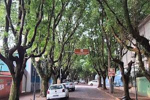 Boulevard dos Oitis image