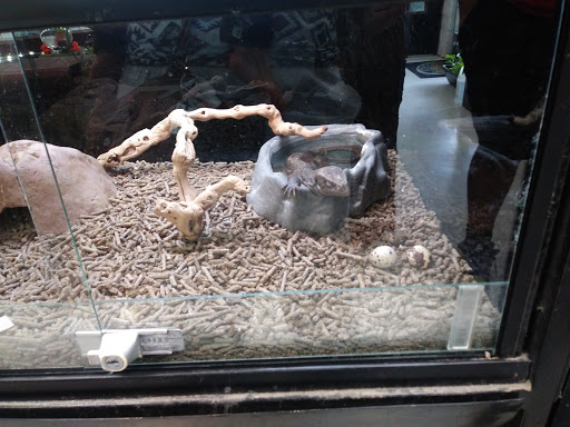 Pet Store «Animal Lovers Pet Shop», reviews and photos, 24028 Vista Montana, Torrance, CA 90505, USA