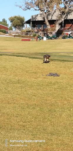 Golf Club «Paso Robles Golf Club», reviews and photos, 1600 Country Club Dr, Paso Robles, CA 93446, USA