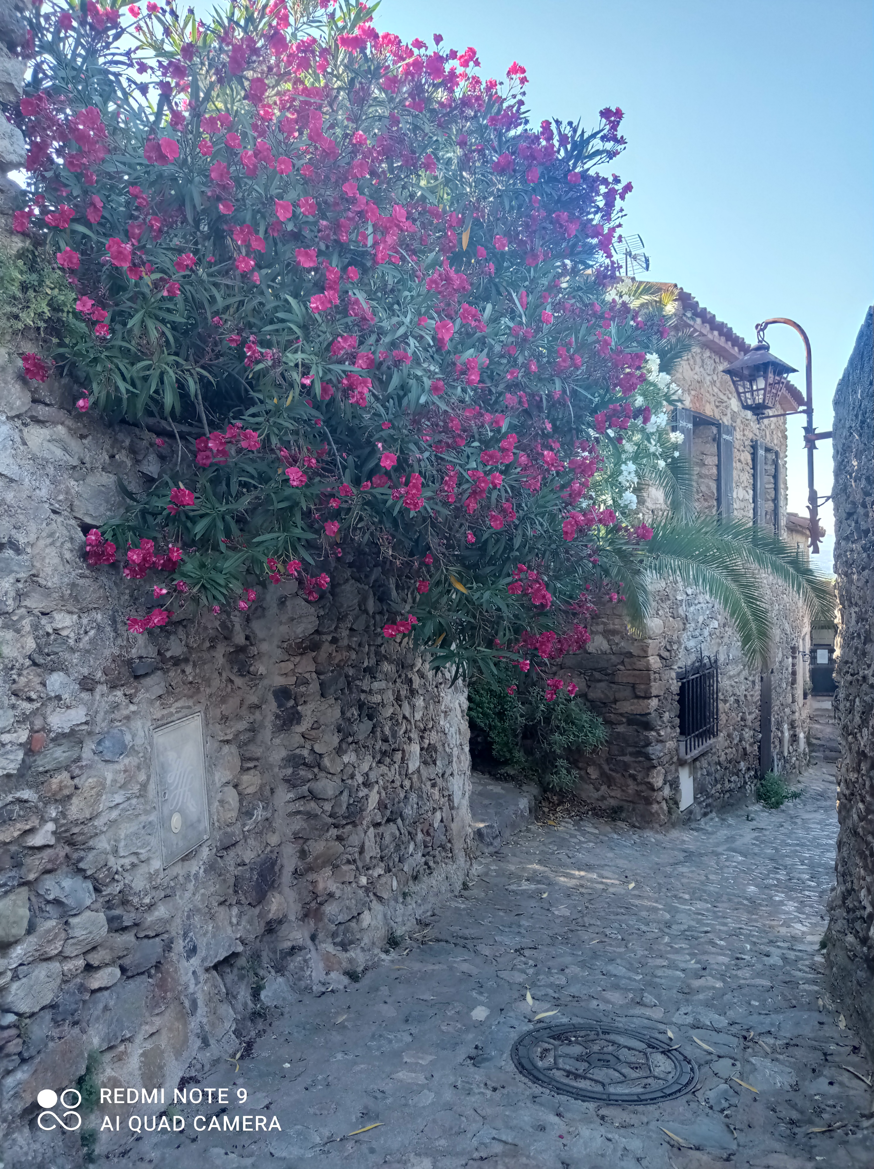Photo n° 3 de l'avis de Valérie.a fait le 07/07/2022 à 17:03