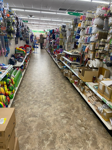 Dollar Store «Dollar Tree», reviews and photos, 1000 Easton Rd #205, Wyncote, PA 19095, USA