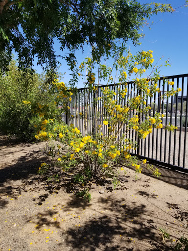 Park «Gateway Park», reviews and photos, 10100 N El Mirage Rd, El Mirage, AZ 85335, USA