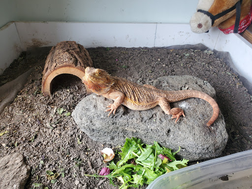 Pet Store «Mike Pet Center LLC», reviews and photos, 133 NJ-35, Neptune City, NJ 07753, USA