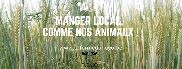 La ferme du Haya