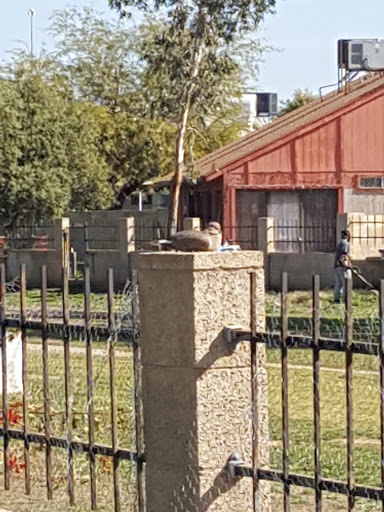 Public Golf Course «Villa De Paz Golf Course», reviews and photos, 4220 N 103rd Ave, Phoenix, AZ 85037, USA