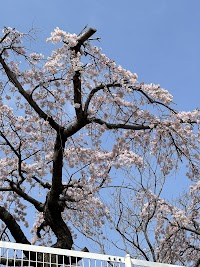 県営神戸楠丘高層住宅集会所