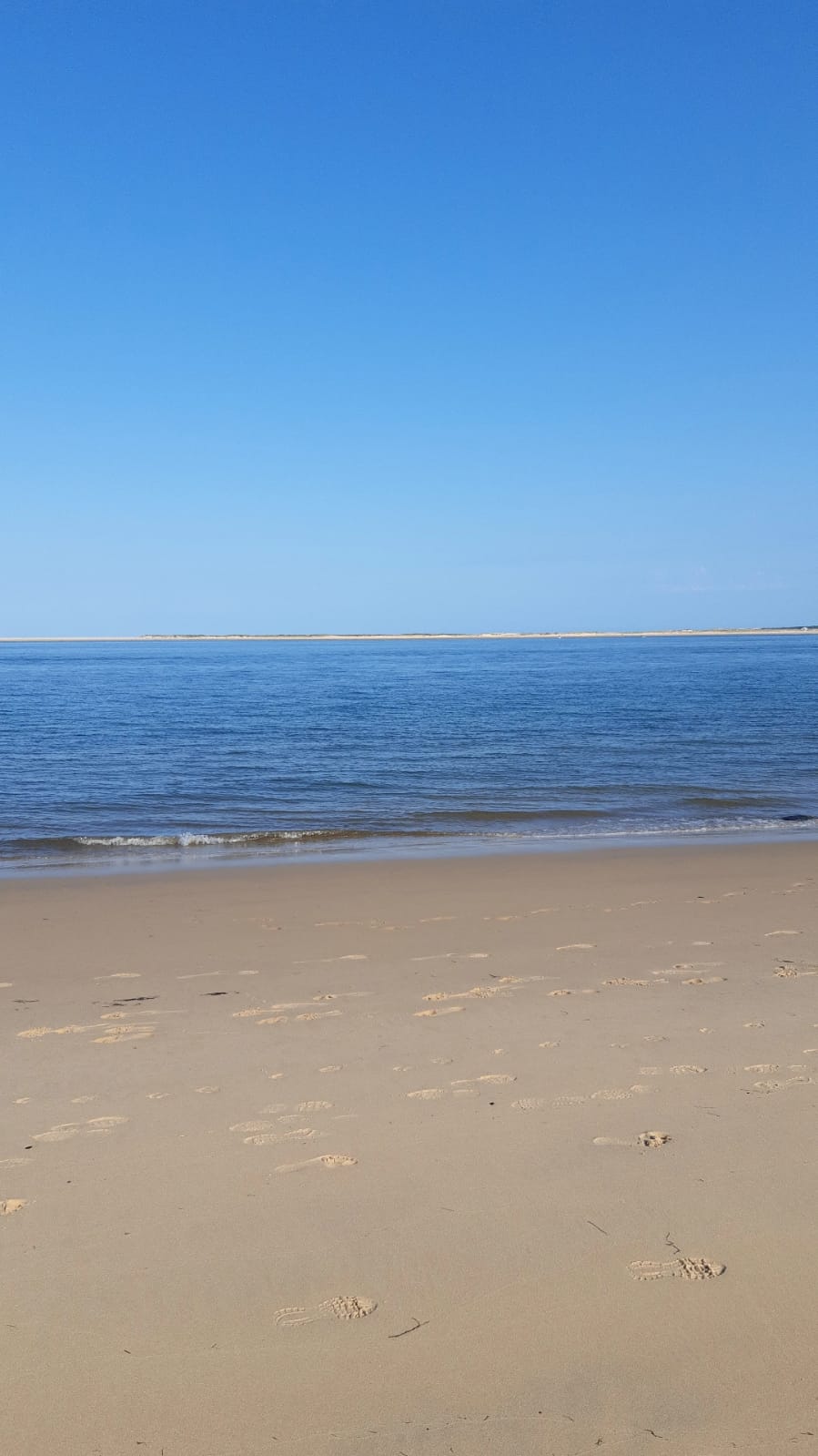 Photo n° 3 de l'avis de Charles.o fait le 25/08/2021 à 20:51