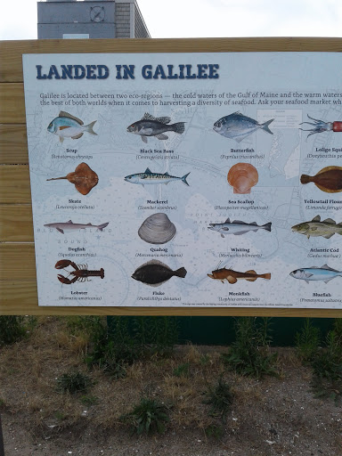 Seafood Restaurant «The Wheel House», reviews and photos, 294 Great Island Rd, Narragansett, RI 02882, USA