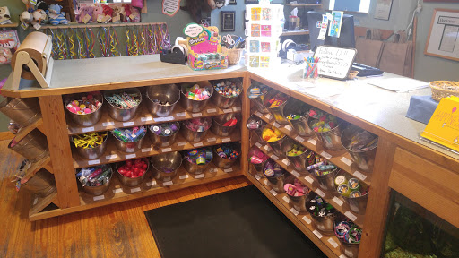 Toy Store «The TreeHouse Toy Store», reviews and photos, 793 Elmwood Ave, Buffalo, NY 14222, USA